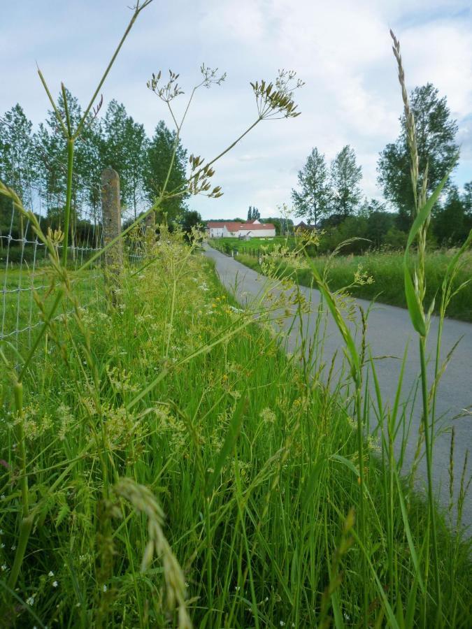 Het Verblijf Sint-Martens-Lennik Kültér fotó