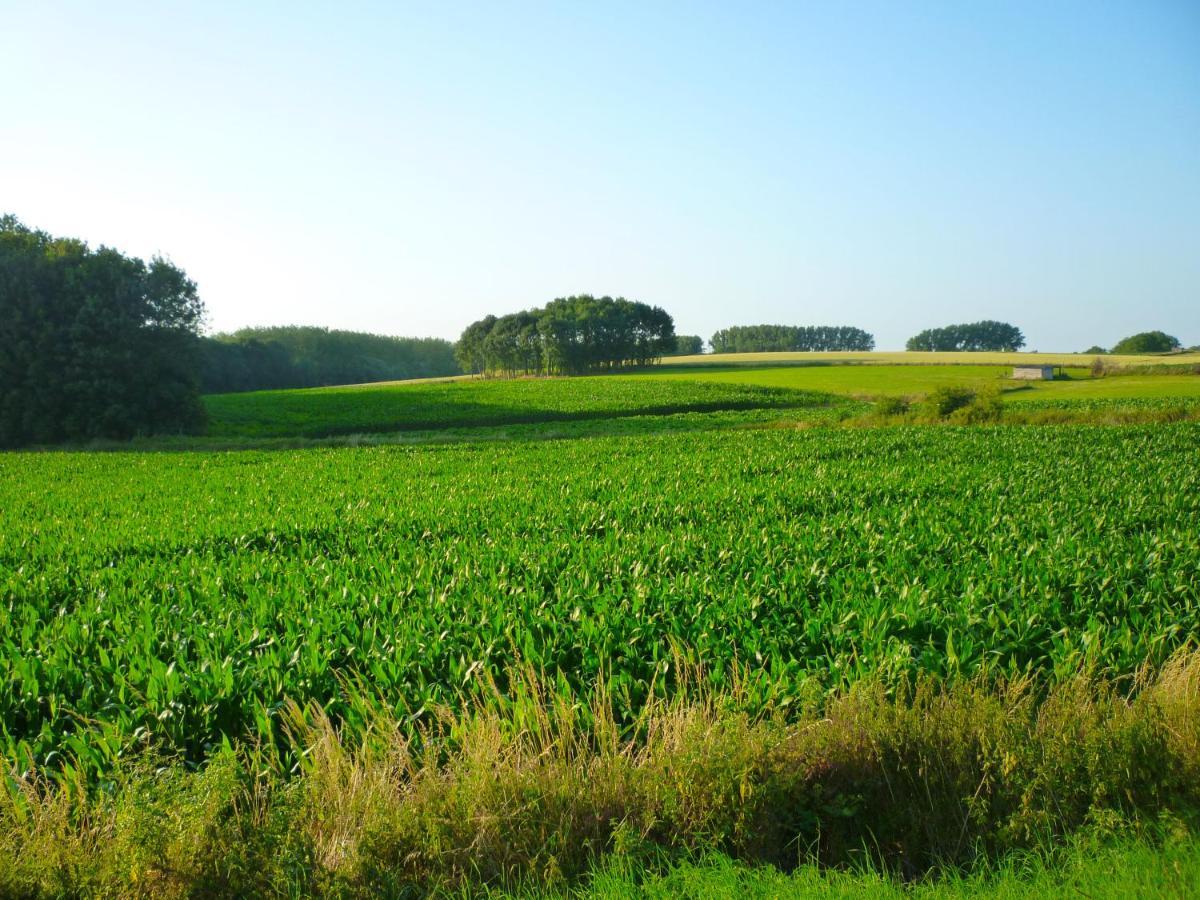 Het Verblijf Sint-Martens-Lennik Kültér fotó